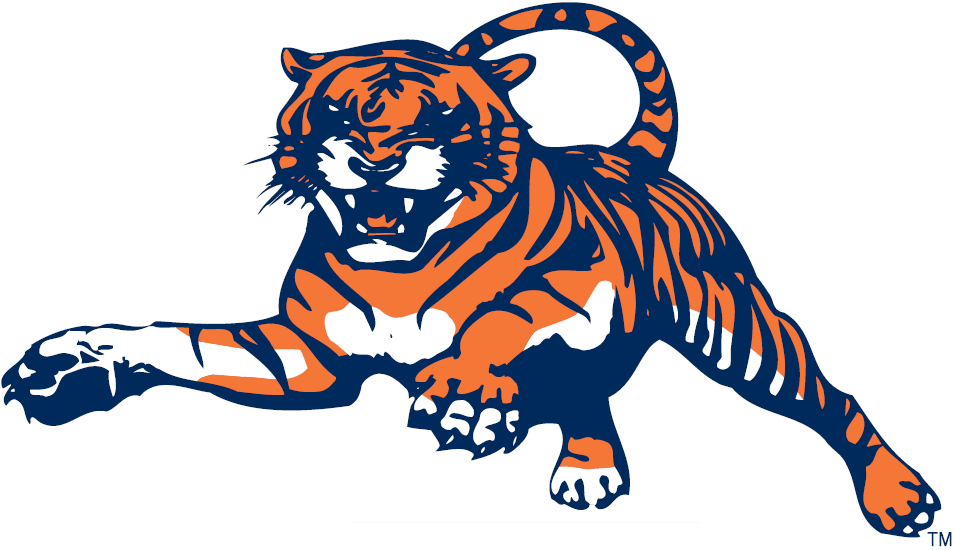 Auburn Tigers 1982-1997 Alternate Logo DIY iron on transfer (heat transfer)